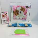 5D Picture Kit