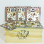 Big 5 Glass Coasters 6s
