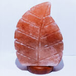 Large Leaf Himalayan Salt Lamp