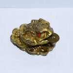 Mini Money Frog