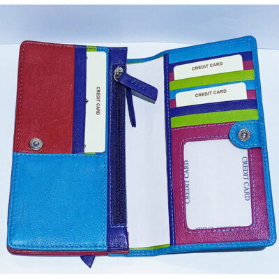 Zola Multi-Colour Leather Purse