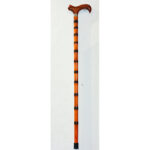 Walking Stick