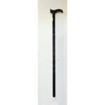 Walking Stick