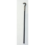 Walking Stick