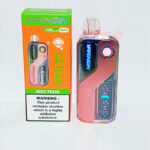 Vapengin Rechargeable Disposable Vape-30k Puffs Juicy Peach