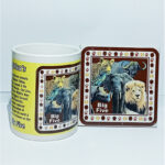 Big 5 Mug and Coaster Set