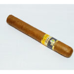 Cohiba Siglo